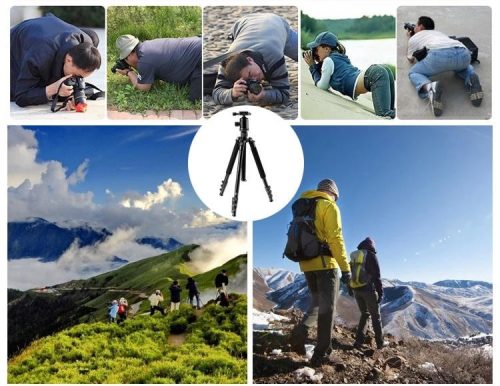 LW K2508 fotóállvány D-2 gömbfejjel